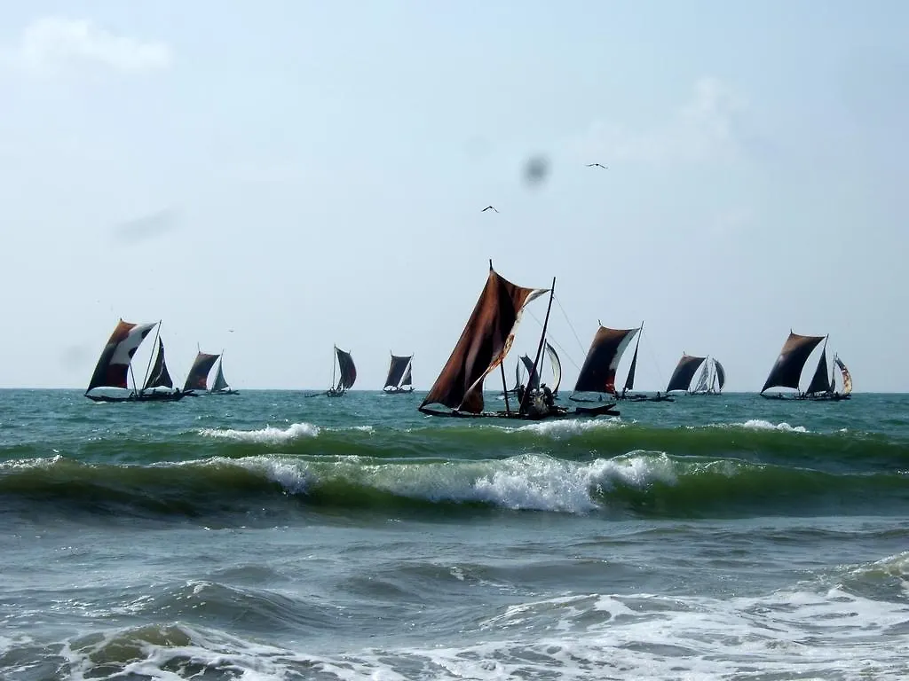 Ocean View Tourist Guest House At Negombo Beach Near The Airport